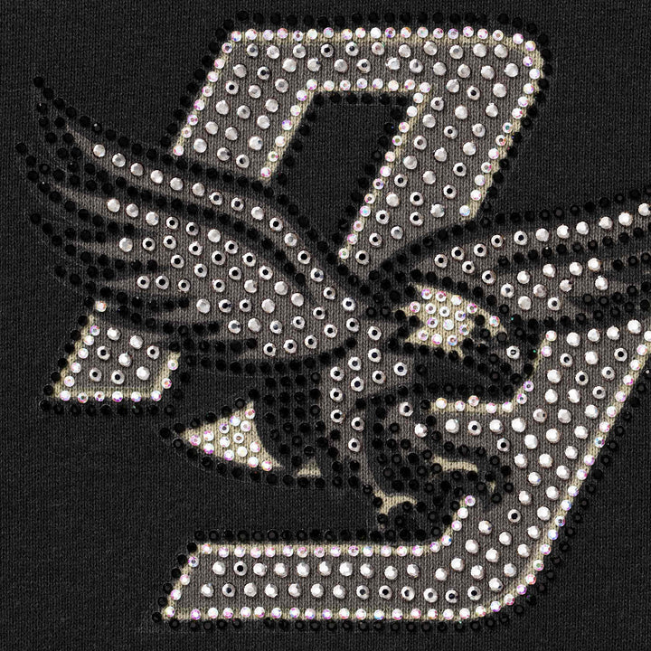 Rhinestone Eagle Hooded Sweatshirt — Black